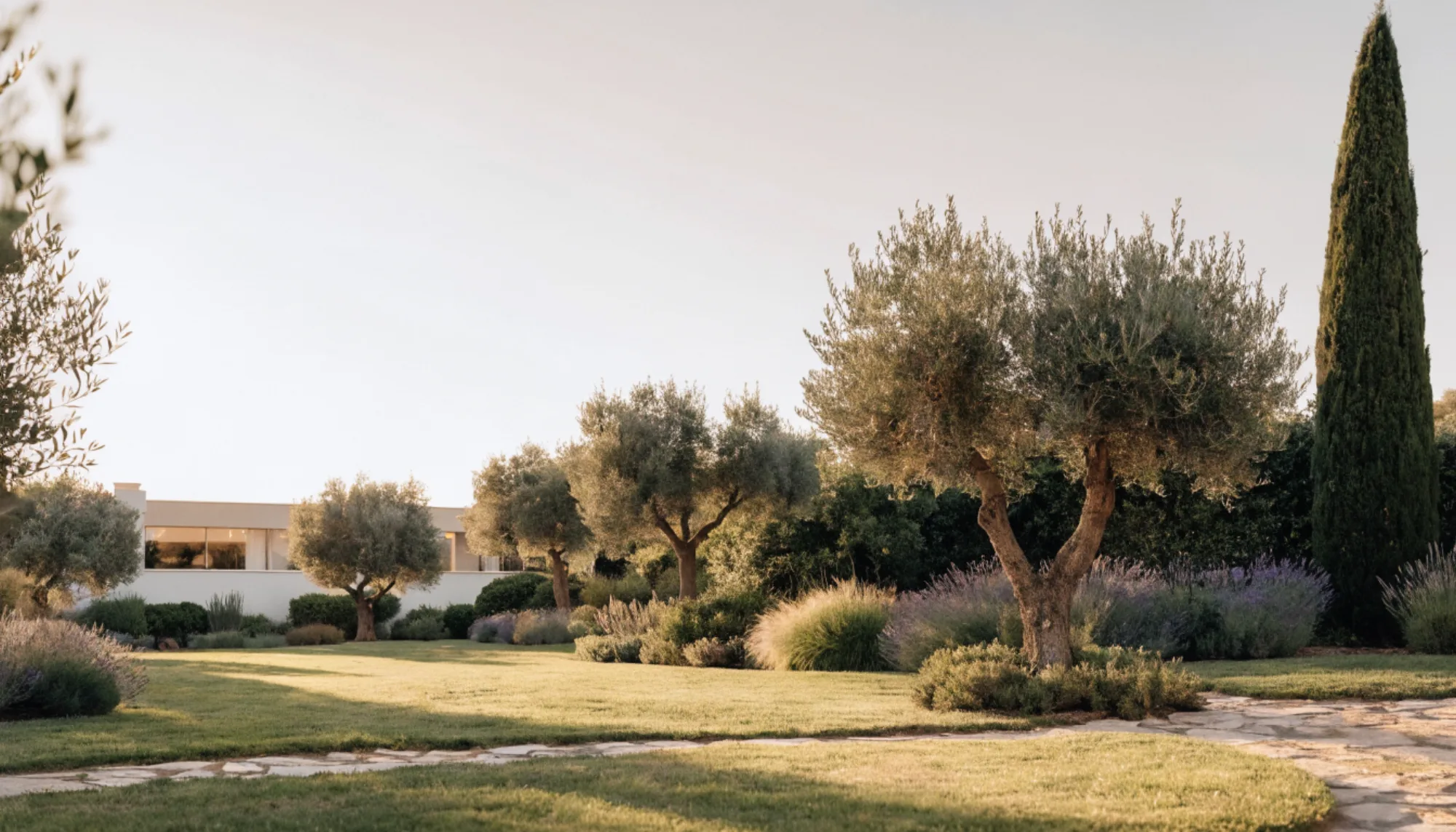Aangelegde mediterrane siertuin in gouden avondlicht